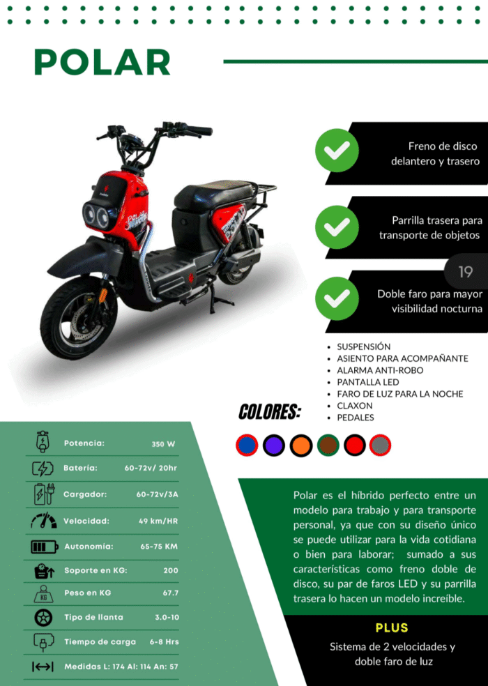 BICICLETA ELECTRICA POLAR - Imagen 8