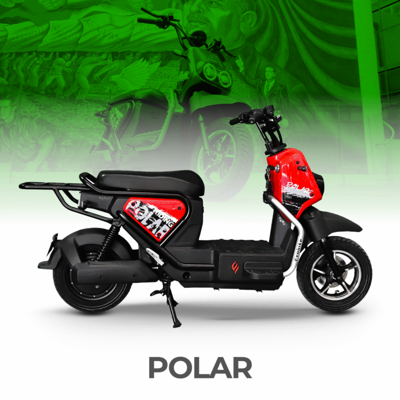 BICICLETA ELECTRICA POLAR