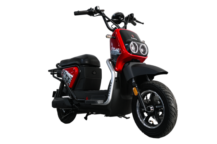 BICICLETA ELECTRICA POLAR - Imagen 6