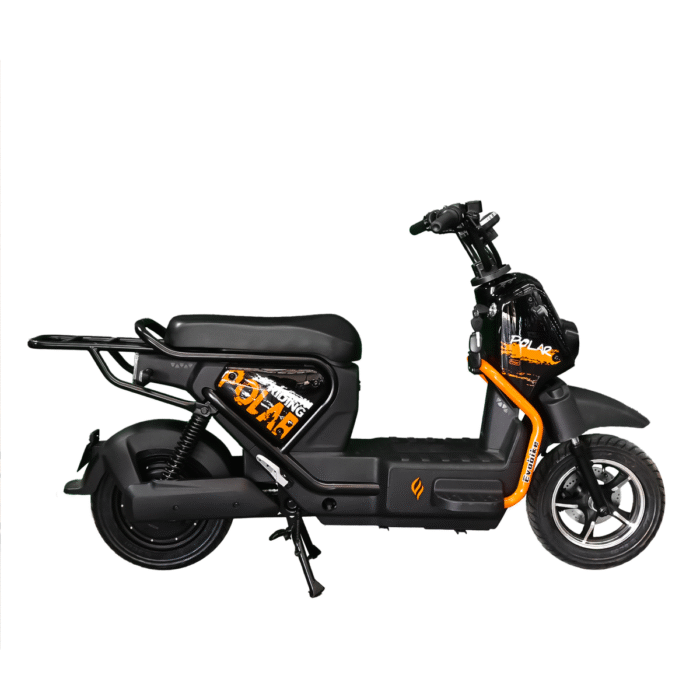 BICICLETA ELECTRICA POLAR - Imagen 2