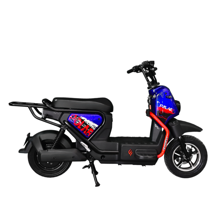 BICICLETA ELECTRICA POLAR - Imagen 4