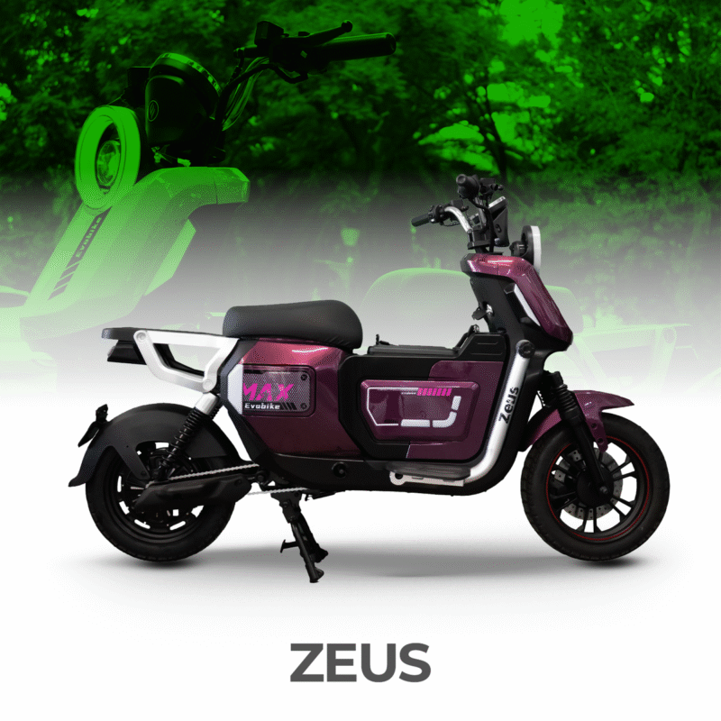 BICICLETA ELECTRICA ZEUS