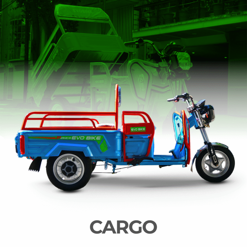 TRICICLO ELECTRICO CARGO