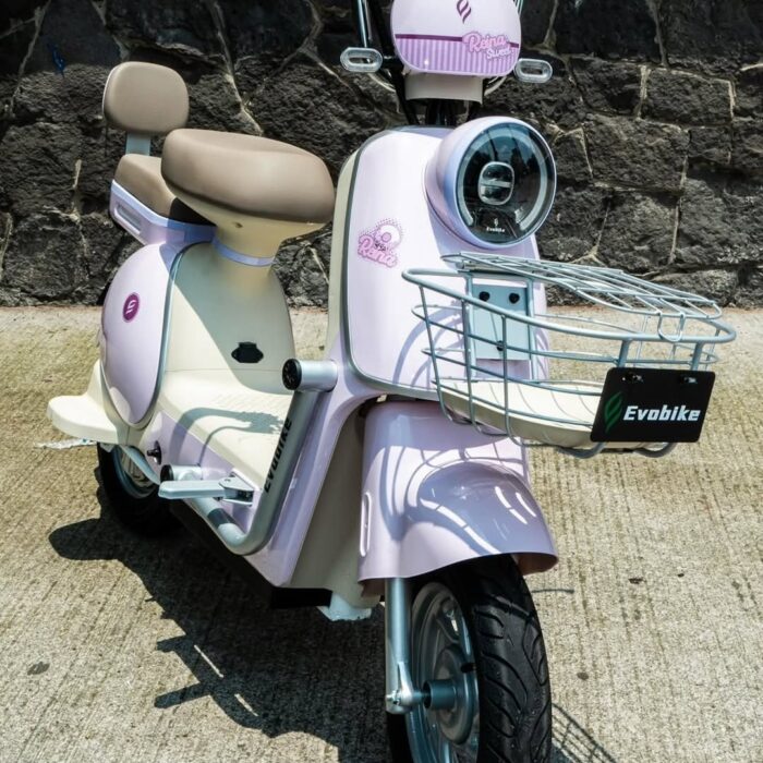 BICICLETA ELÉCTRICA REINA - Imagen 4