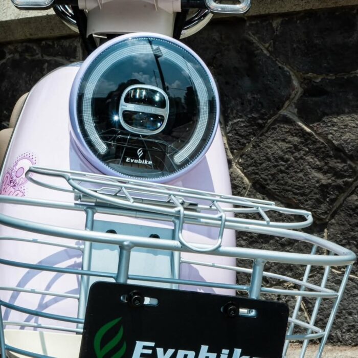 BICICLETA ELÉCTRICA REINA - Imagen 3