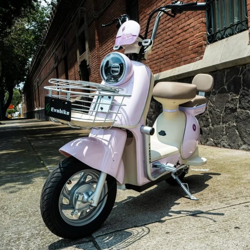 BICICLETA ELÉCTRICA REINA