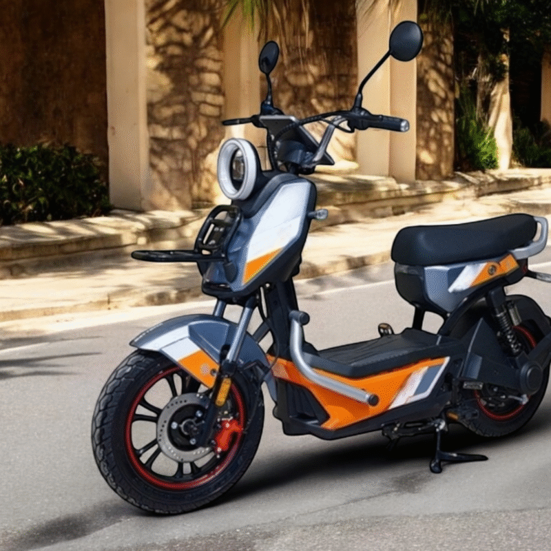 BICICLETA ELECTRICA RYDER PRO